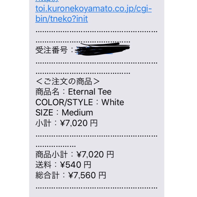 Supreme(シュプリーム)のsupreme eternal tee メンズのトップス(Tシャツ/カットソー(半袖/袖なし))の商品写真