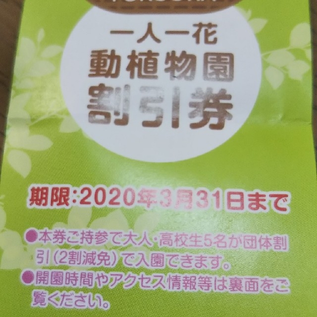 西鉄バス 体験チケット かしいかえん他 チケットの施設利用券(遊園地/テーマパーク)の商品写真