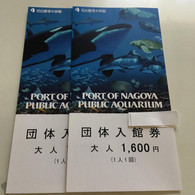 名古屋港水族館　入館券　チケット大人4枚