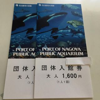 名古屋港水族館 入館券 大人 15枚