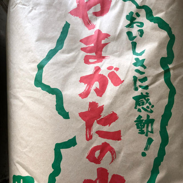 食品/飲料/酒送料込み 令和元年産 山形県産 はえぬき 白米 24キロ - 米 ...