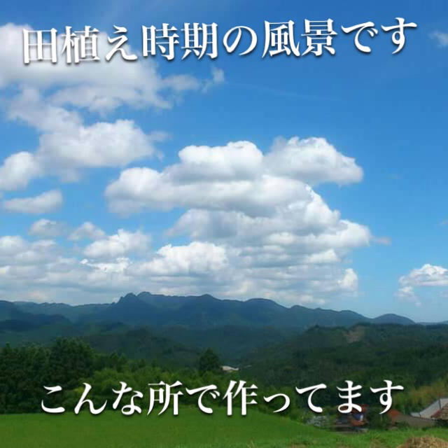 夏の花様専用 30キロ(10キロ分精米、残り玄米小分け) 食品/飲料/酒の食品(米/穀物)の商品写真