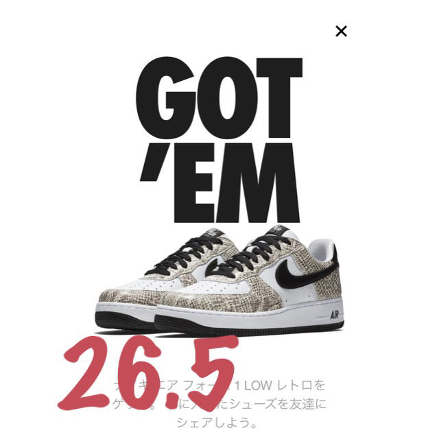 メンズNIKE AF1 COCOA SNAKE