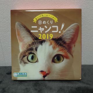 ネコミミ(necomimi)の日めくりニャンコ！ 日めくりにゃん2019年(カレンダー/スケジュール)