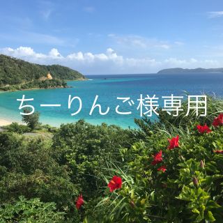 ちーりんご様専用(衣装一式)