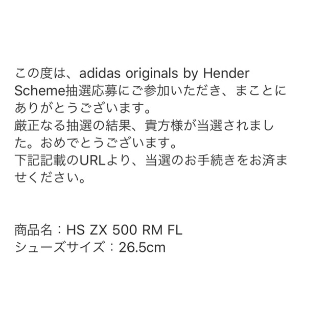 Hender Scheme(エンダースキーマ)のHS ZX 500 RM FL     26.5cm メンズの靴/シューズ(スニーカー)の商品写真