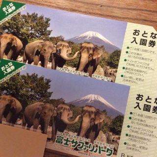 富士サファリパーク 入園券  大人2枚(動物園)