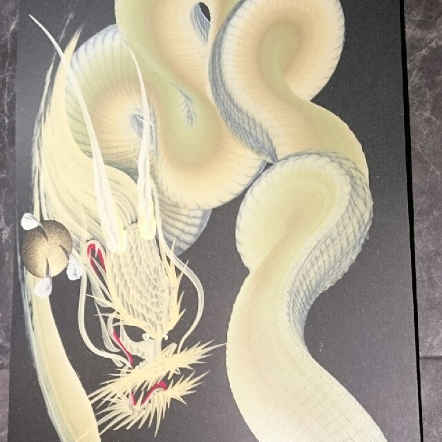 一筆龍  色彩 ２５０×５００ 額付 エンタメ/ホビーの美術品/アンティーク(絵画/タペストリー)の商品写真