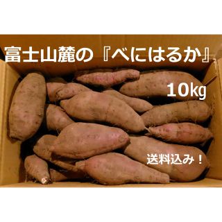 「べにはるか」10kg  富士山麓の「さつま芋」 送料込み! 181116(野菜)