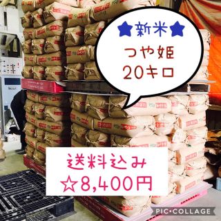 新米☆大粒☆特A取得☆宮城県産つや姫20キロ(米/穀物)
