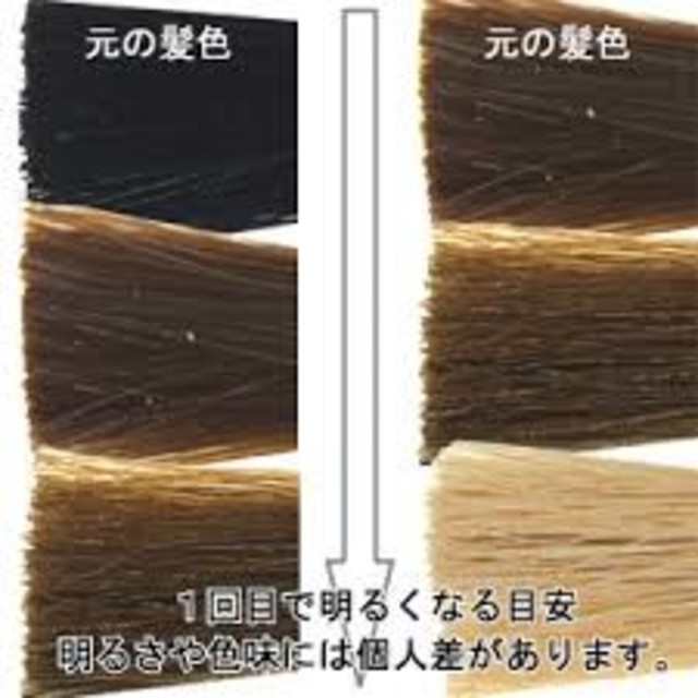 トトロ様専用　最強ホワイトブリーチ業務用 コスメ/美容のヘアケア/スタイリング(ブリーチ剤)の商品写真