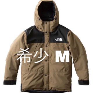 ザノースフェイス(THE NORTH FACE)のマウンテンダウン ビーチグリーン(ダウンベスト)