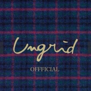 アングリッド(Ungrid)のにゃーちさん専用(クラッチバッグ)