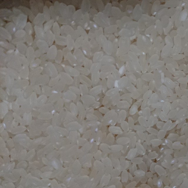 新米!愛媛県産ヒノヒカリ30㎏ | swa.com.pe