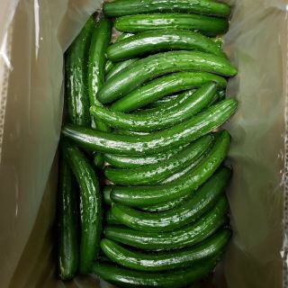 【熊本産】超曲がりきゅうり4・7㎏！お徳用！プロが作る本物の味を堪能してください(野菜)