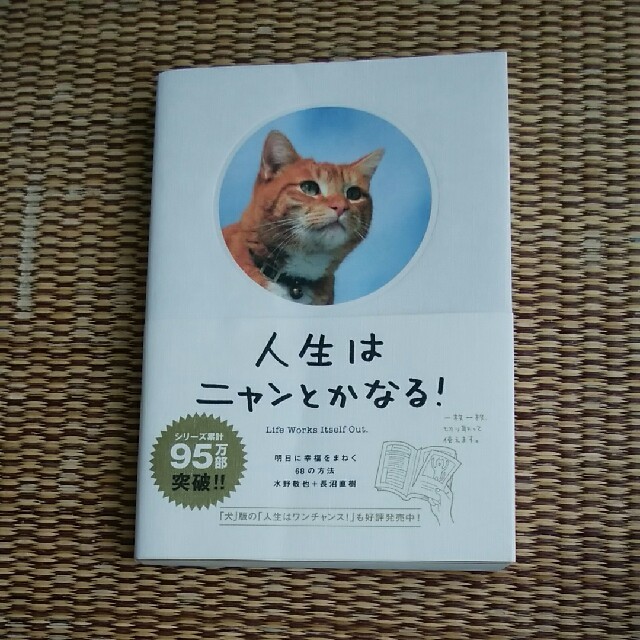 人生はニャンとかなる！ネコ猫写真集 エンタメ/ホビーの本(趣味/スポーツ/実用)の商品写真