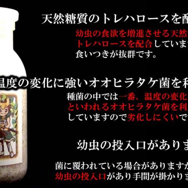 菌糸ビン 菌糸瓶 将軍伝 1100 6本 オオクワガタ 幼虫 えさ その他のペット用品(虫類)の商品写真