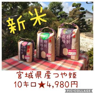 新米☆大粒☆特A取得☆宮城県産つや姫10キロ(米/穀物)