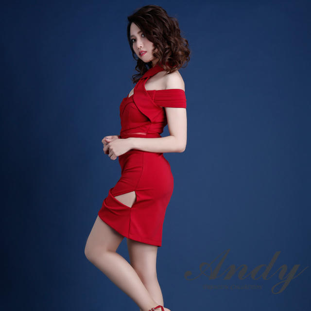 Andy(アンディ)の今期新作♡タグ付き♡ ワンピース キャバ ドレス レディースのフォーマル/ドレス(ナイトドレス)の商品写真