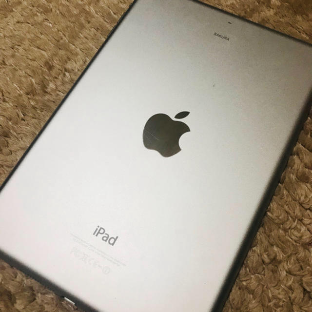 iPad mini2