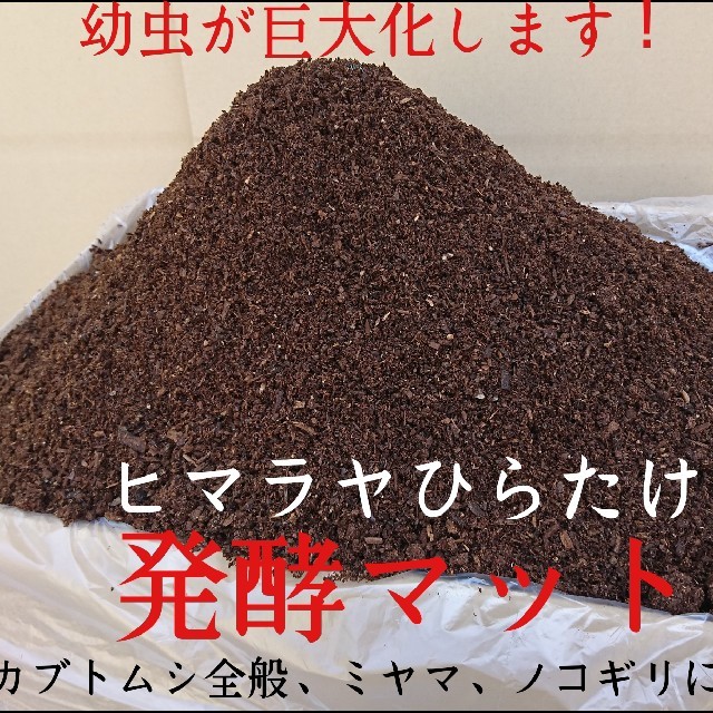 送料無料！カブトムシ幼虫がビッグに！ヒマラヤひらたけ発酵マット  60リットル その他のペット用品(虫類)の商品写真