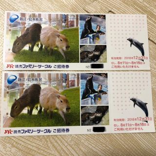 新江ノ島水族館 チケット 2枚 12/31まで(水族館)