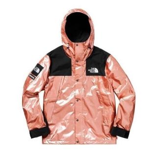 シュプリーム(Supreme)のThe North Face Metallic Mountain (マウンテンパーカー)