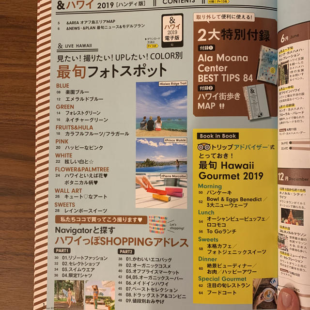 朝日新聞出版(アサヒシンブンシュッパン)のハワイ 2019 【本日限定値下げ】 エンタメ/ホビーの本(地図/旅行ガイド)の商品写真