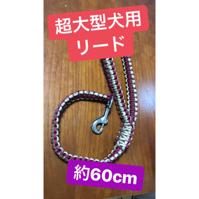 パラコードリード 超大型犬 65cmの通販 By かぁちゃん ラクマ パラコードリード 超大型犬 65cmの通販 By かぁちゃん ラクマ