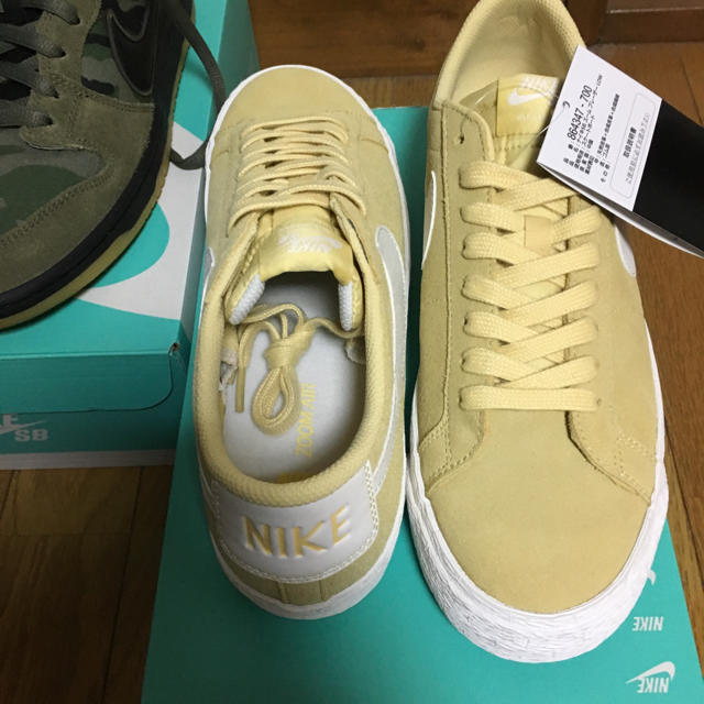 NIKE(ナイキ)のレアカラー ナイキ NIKE ブレイザー SB LOW ロー メンズの靴/シューズ(スニーカー)の商品写真