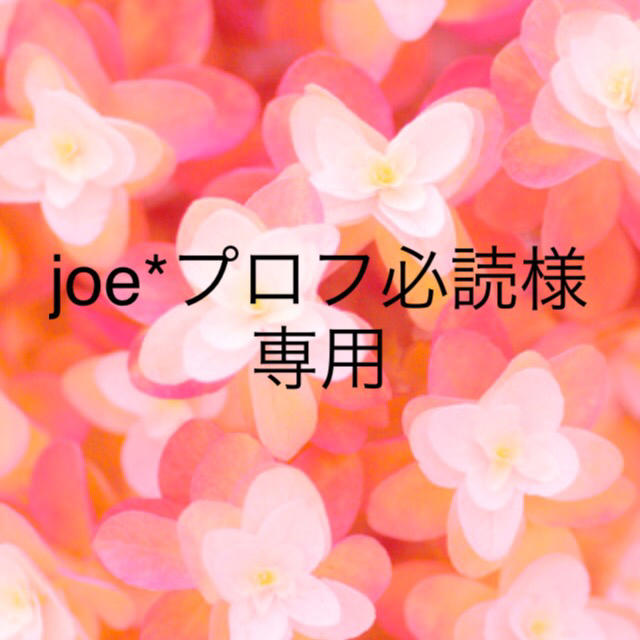 joe*プロフ必読様専用のサムネイル