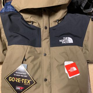 ザノースフェイス(THE NORTH FACE)のマウンテンダウンジャケット ビーチグリーン L(マウンテンパーカー)