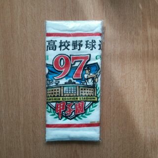 あやや様専用 甲子園フェイスタオル(記念品/関連グッズ)