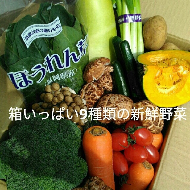 美味しい九州産✨新鮮野菜9種類を箱いっぱい詰め合わせセット✨ 食品/飲料/酒の食品(野菜)の商品写真