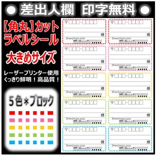 ♪にゃんこ♪様 専用：【角丸】宛名シール 100枚 〔5色セット③：ブロック〕(宛名シール)