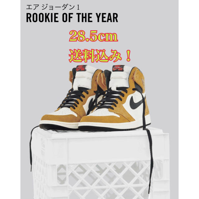 air jordan OG rookie of the year 28.5