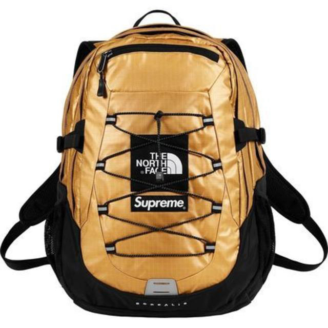 Supreme The North Face Metallic Backpack | iins.org