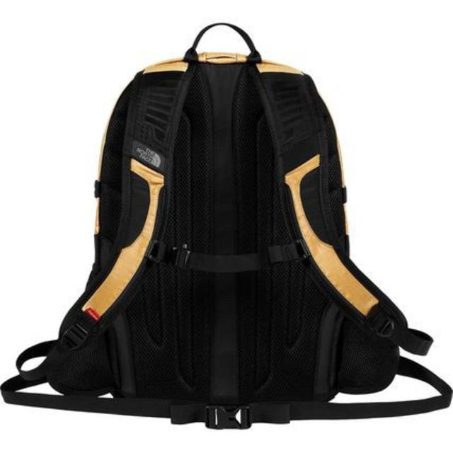 Supreme The North Face Metallic Backpack