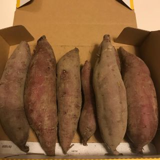 奈良県産 サツマイモ(シルクスイート )土つき(野菜)