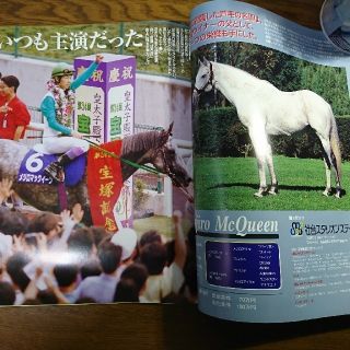 Gallop臨時増刊 週刊100名馬 メジロマックイーン&ナイスネイチャー Gallop臨時増刊 週刊100名馬 メジロマックイーン&ナイスネイチャー