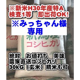 ※みっちゃん様専用即納　送料無料　新潟こしひかり27キロ（白米）(米/穀物)