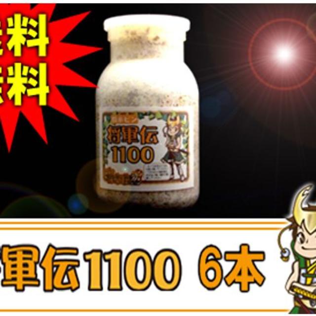 菌糸瓶 菌糸ビン 将軍伝 1100 6本 オオクワガタ 幼虫 えさ その他のペット用品(虫類)の商品写真