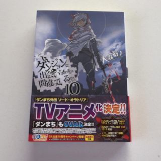 ダンジョンに出会いを求めるのは間違っているだろうか(文学/小説)