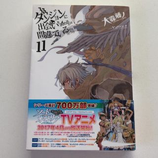 [ジェラトーニ様専用]ダンジョンに出会いを求めるのは間違っているだろうか(文学/小説)