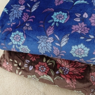 ニシカワ(西川)の最後の一組限界価格 お買い得な2枚セット昭和西川 おしゃれなポリエステル軽量毛布(毛布)