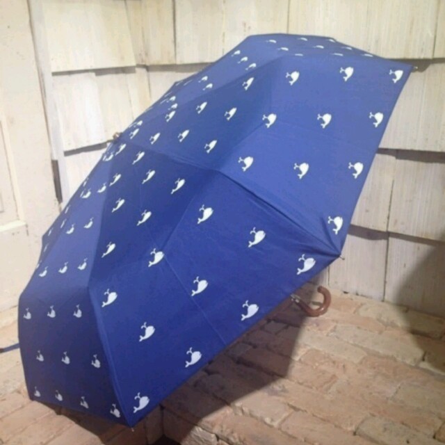 dazzlin(ダズリン)のdazzlin ダズリン 傘 折りたたみ レディースのファッション小物(傘)の商品写真