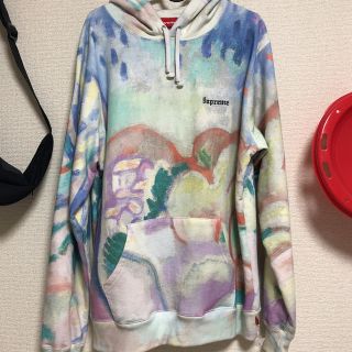 シュプリーム(Supreme)のSupreme landscape hooded Mサイズ(パーカー)