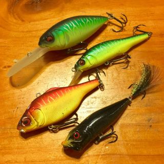 メガバス(Megabass)のメガバス X-80 vive-x ultra pop-x deep-x 300(ルアー用品)