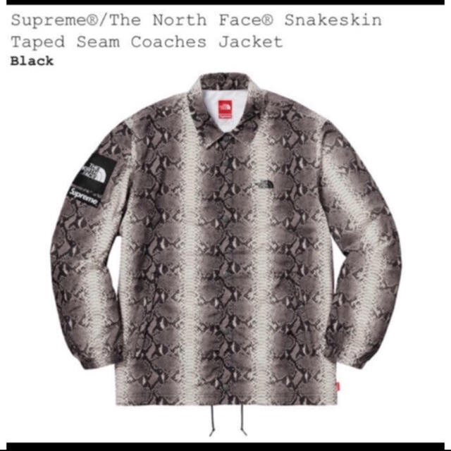 Supreme/The North Face Snakeskin Jacket