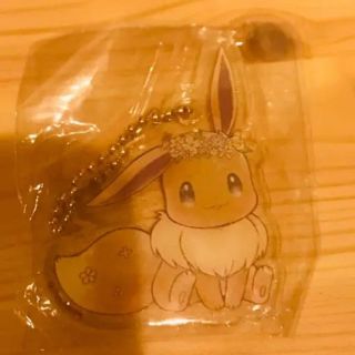 ポケモン - おゆまる様専用 ポケモン イーブイ アクリル チャーム
